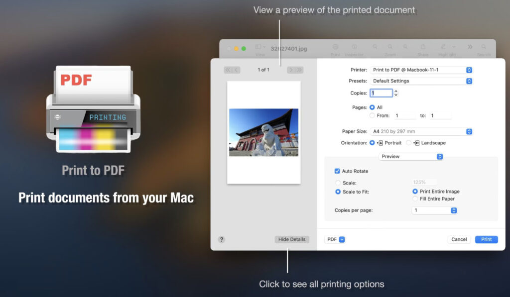 Print to PDF Pro