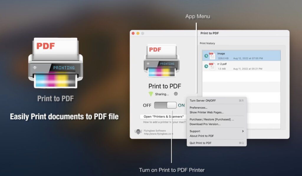 Print to PDF Pro