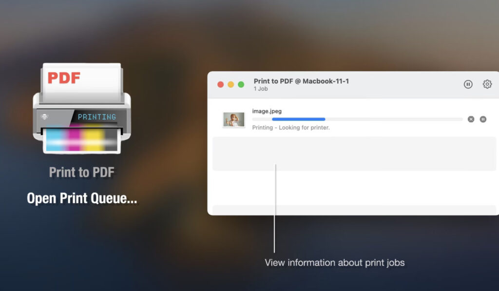 Print to PDF Pro