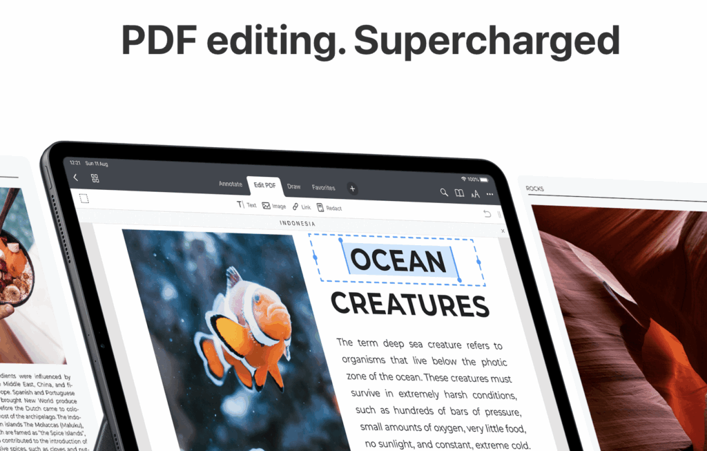 PDF Expert